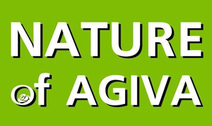 Nature Agiva Perfumes And Colognes