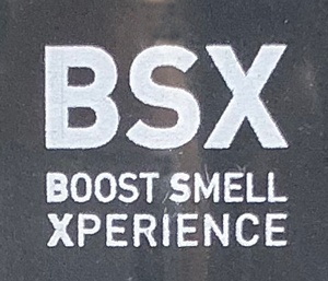 BSX Logo
