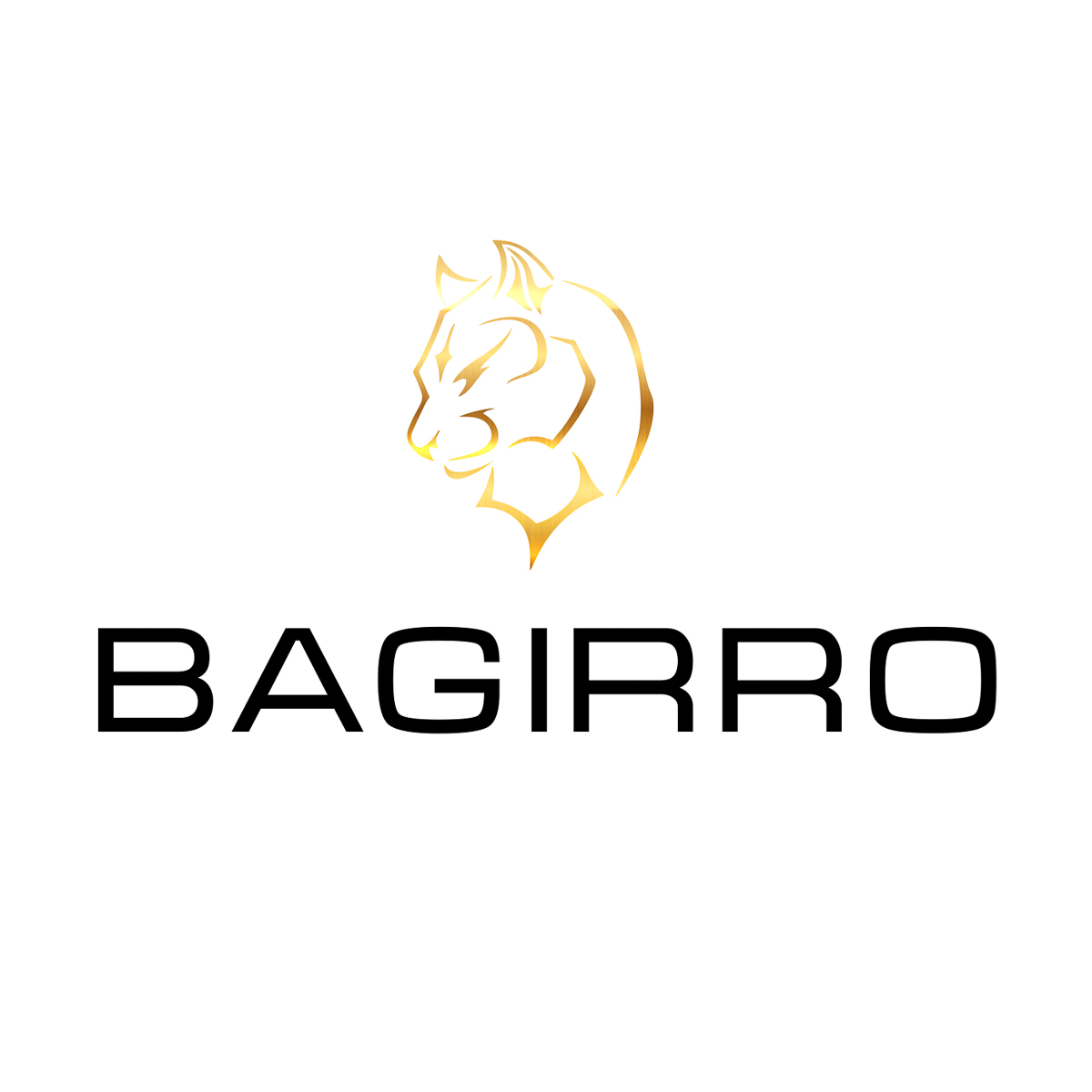 Bagirro Logo