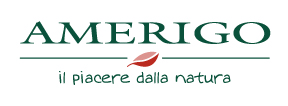 Amerigo Logo