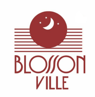 Blosson Ville Perfumes And Colognes
