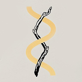 Tree Of Life Logo
