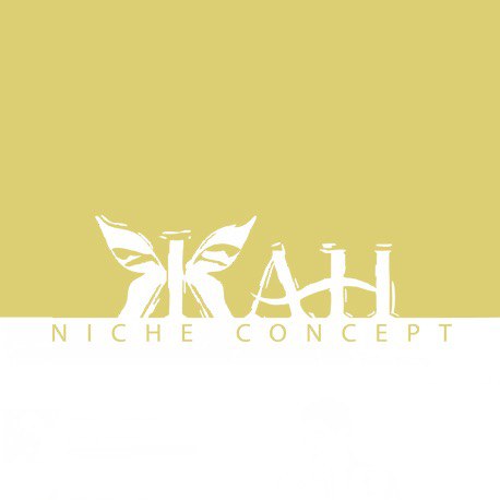 Jan Niche Concept Logo