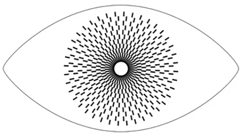 The Eyes Are Always There Logo