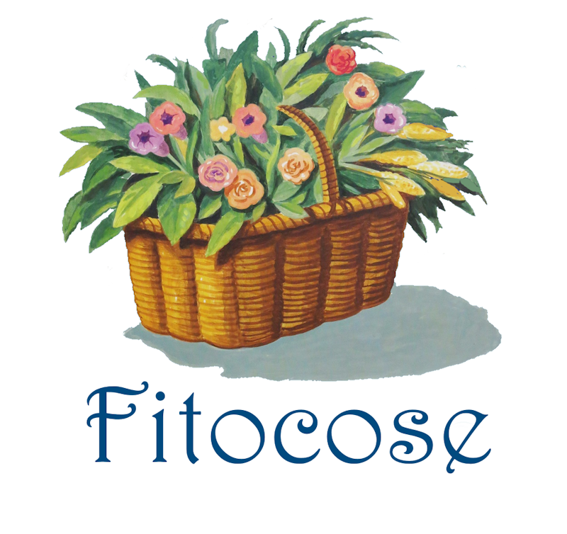 Fitocose Logo