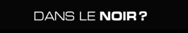 Dans Le Noir Logo