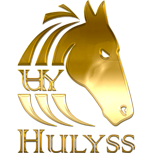 Hulyss Logo