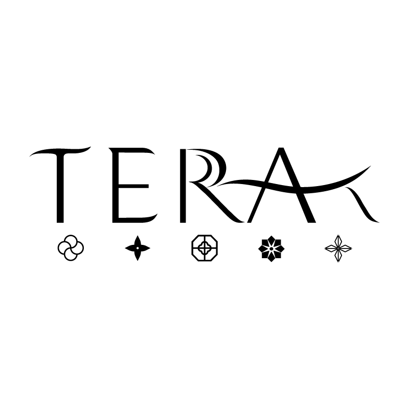 Terra T Logo