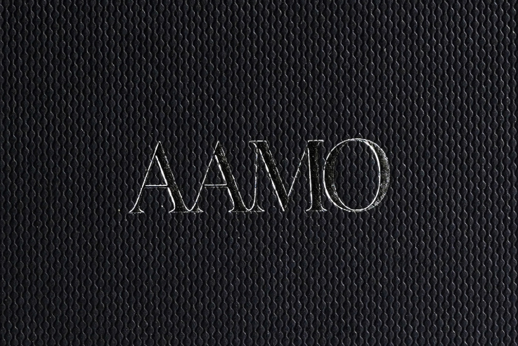 AAMO Logo