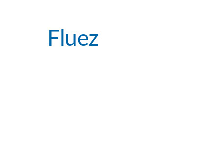 Fluez Logo