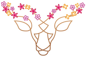 Lost Tribe Logo