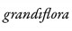 Grandiflora