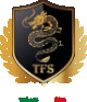 TFS