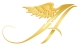 Ailes des Anges