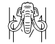 House of Mammoth