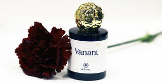 جديد: Vanant من In Astra