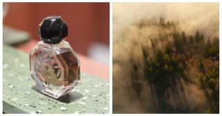 عطر Limerence من To Define: رائحة الهوس