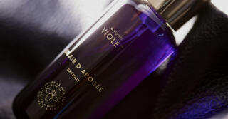 Un Air d'Apogée Extrait، إصدارٌ أكثر دُكنة وجلدية