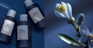 مجموعة Fleurs de Nuit من Chloé: أزهار حليبية في مواجهة Gucci