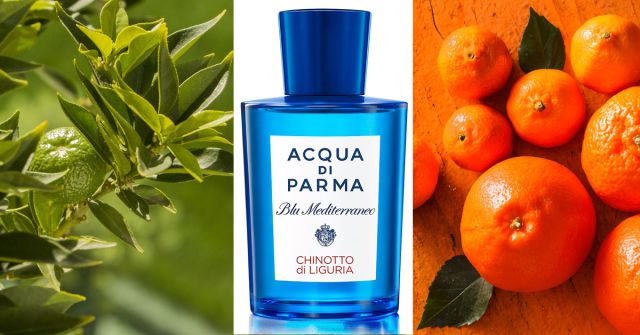 Chinotto di Liguria Acqua di Parma 香水- 一款2018年中性香水