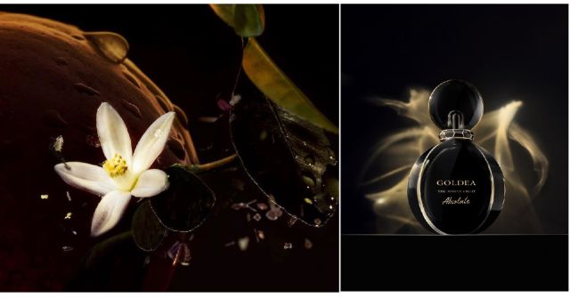 Goldea The Roman Night Bvlgari 香水- 一款2017年女用香水