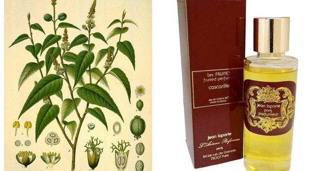 Vanilia L'Artisan Parfumeur 香水- 一款1978年中性香水