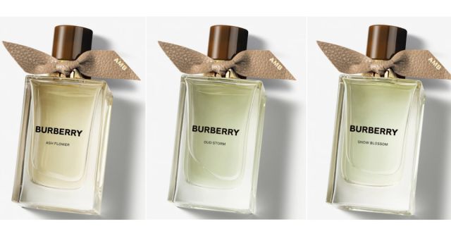 香水(ユニセックス) BURBERRY OUD STORM 100ml Burberry Beauty