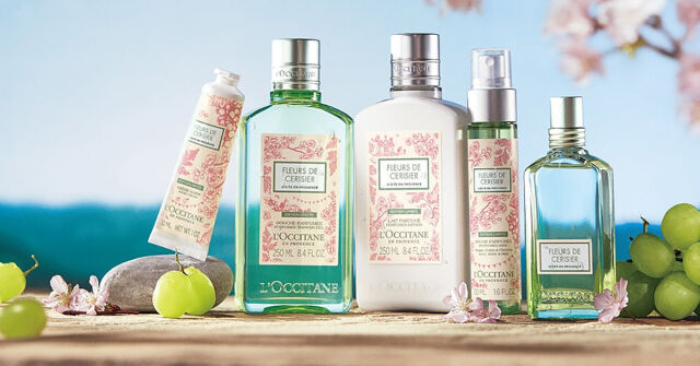 Muscat Blanc Fleurs de Cerisier L'Occitane en Provence 香水- 一款