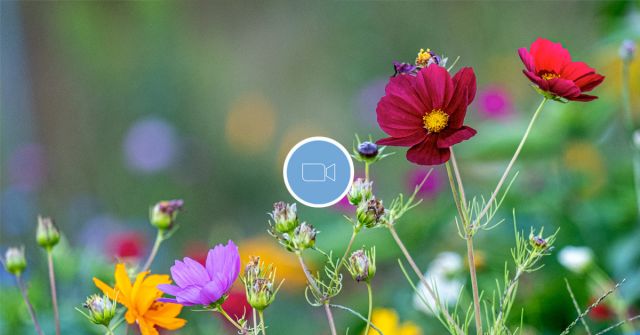 Fragrantica Talks: Letní parfémy, které nejsou citrusové