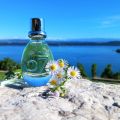 Artemisia 67 od Pomellata: Zelená aromatická nádhera 