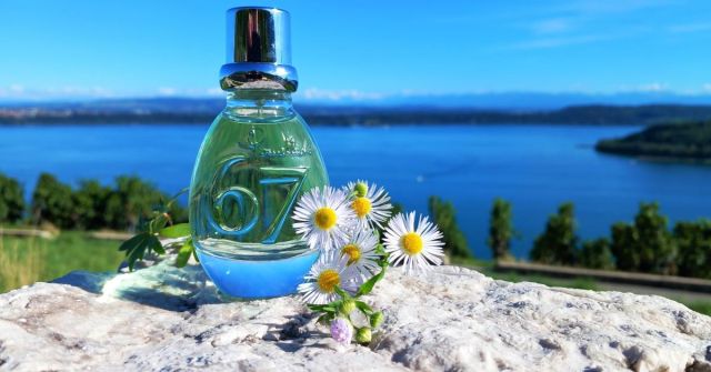 Artemisia 67 od Pomellata: Zelená aromatická nádhera 