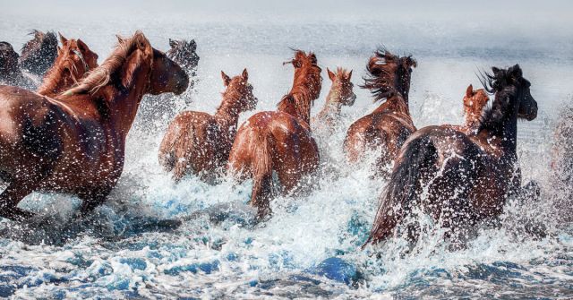 Nabati od Astrophil & Stella: neskutečně vodní