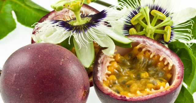 Fragranze 2023: MUČENKOVÉ parfémy 