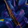 Recenze Guerlain Shalimar Millésime Iris