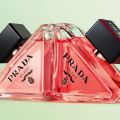 Prada Paradoxe vs Paradoxe Intense