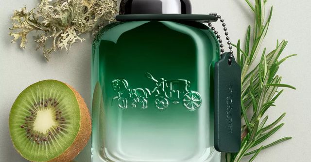 Coach Green: Slané, za studena uzené bylinky a kapka šťávy z kiwi