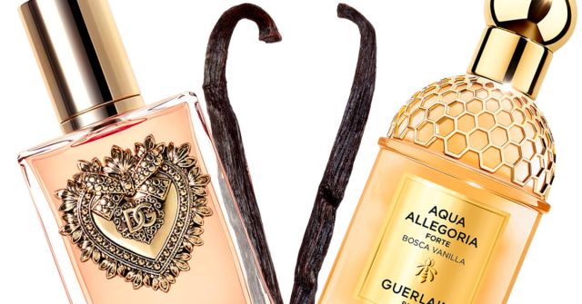 Dvě vanilky: Devotion D&G a Bosca Vanilla Forte Aqua Allegoria Guerlain