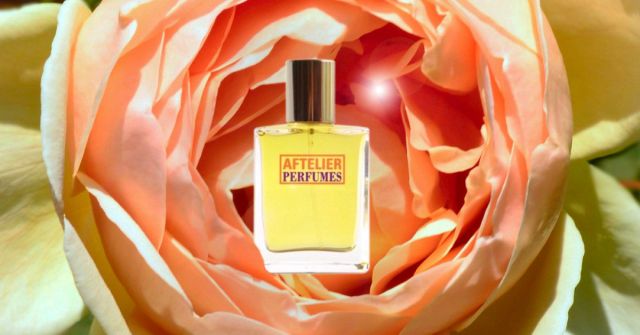 Aftelier's Hey Jude oslavuje speciální zahradní růži