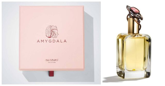 Amygdala Mendittorosa: Květina ve vaší hlavě