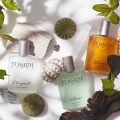 Ligne St Barth uvádí na trh tři vůně pro muže: L'Original, Vetiver a Islander