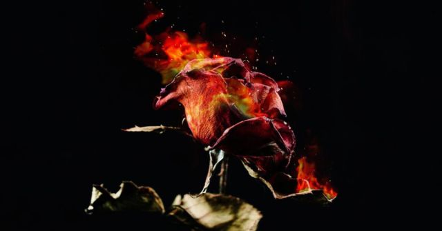 Montale Louban: Zrada obrazů