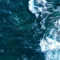 "Welcome To My Island": Odyssea za podivnými a úžasnými vodními vůněmi