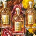 Vitamin A: Guerlain Aqua Allegoria Forte Collection 