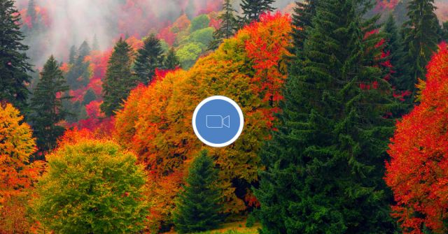 Skvělé podzimní parfémy: Redaktoři Fragrantica diskutují o podzimních vůních