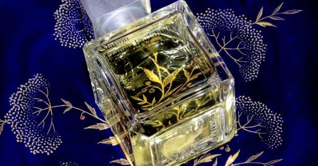 Lumière Noire Pour Homme: Růže v bouři plné krupobití