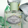 Jak Les Infusions de Prada Collection odráží dekonstruovanou eleganci značky