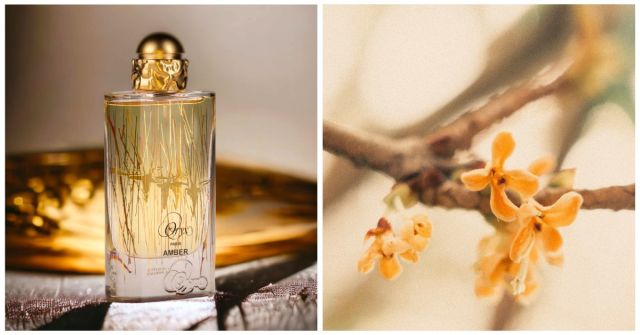 Oryx Amber: Zlatá antilopa