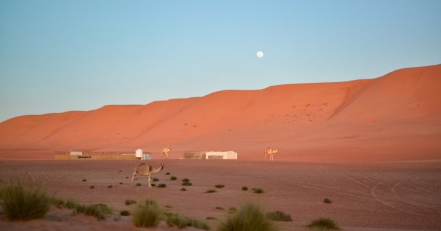 Voňavá cesta od Omanluxury do země vůní