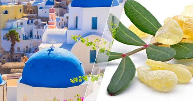 Vůně Řecka: krétská dittanie, pryskyřice masticha a anýz 