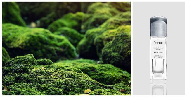 Green Velvet od ÉDIT(h): Mokré zelené mechy